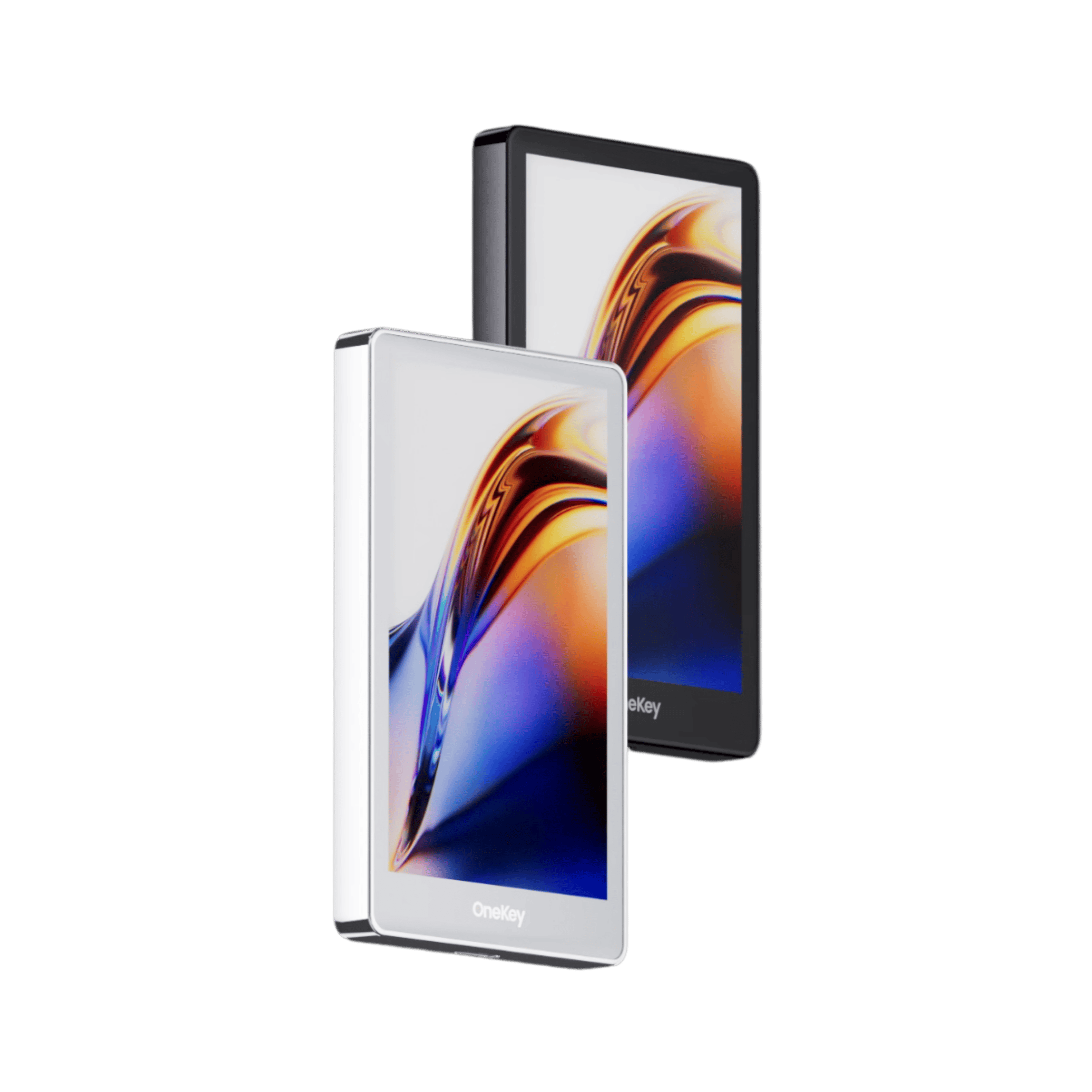 OneKey Pro_1