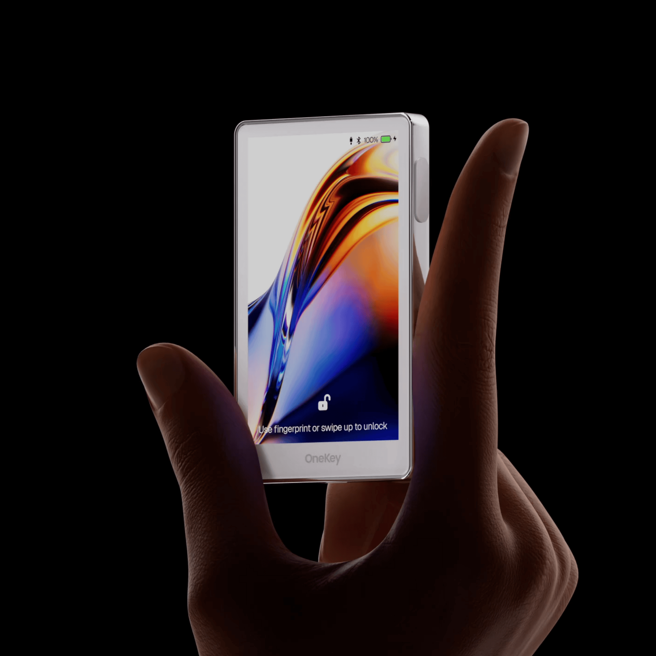 OneKey Pro_4